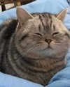 lyracr0w0 Altpins Profile Picture