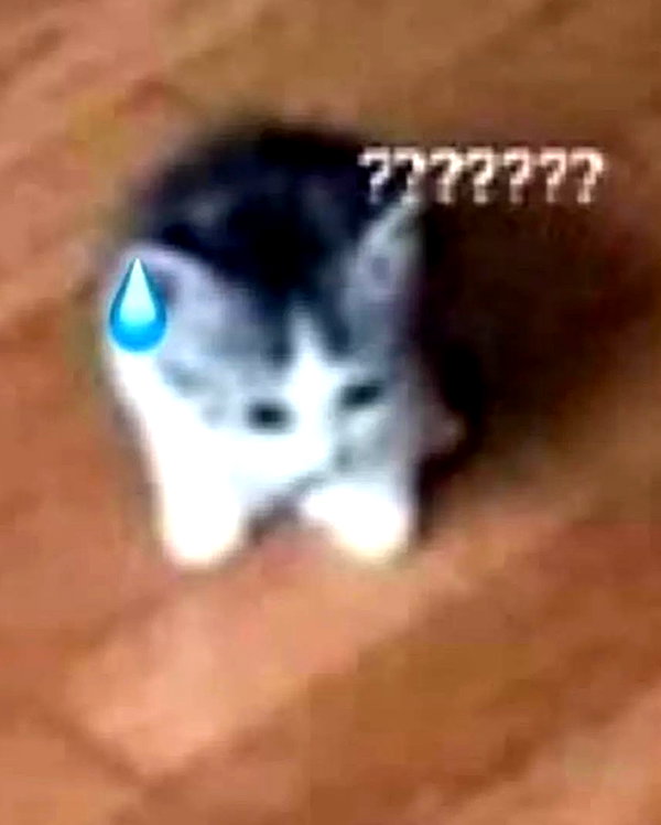 lyracr0w0 instagram image archive image