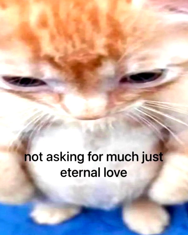 lyracr0w0 instagram image archive image