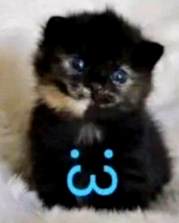 lyracr0w0 instagram image archive image