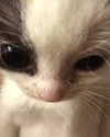 lyracr0w0 Altpins Profile Picture