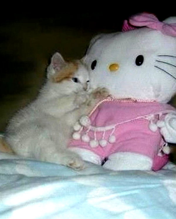 lyracr0w0 instagram image archive image