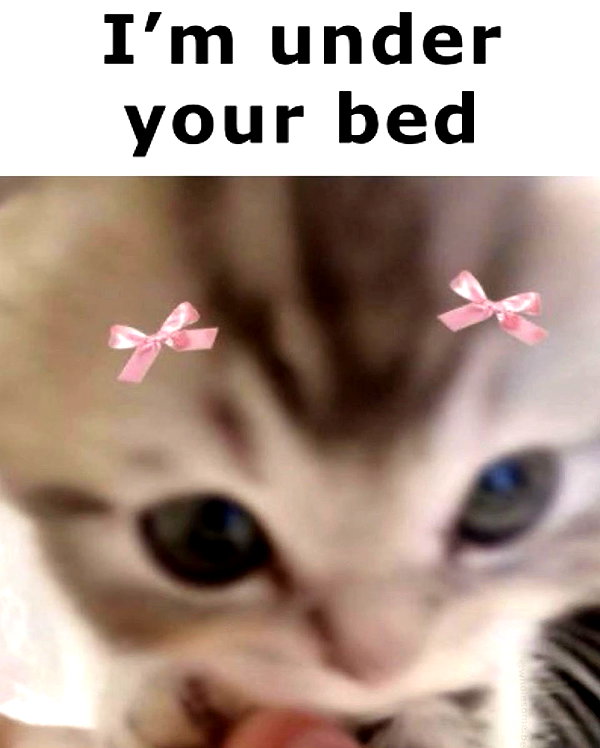 lyracr0w0 instagram image archive image