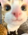 lyracr0w0 Altpins Profile Picture
