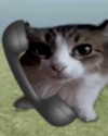 lyracr0w0 Altpins Profile Picture