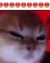 lyracr0w0 Altpins Profile Picture