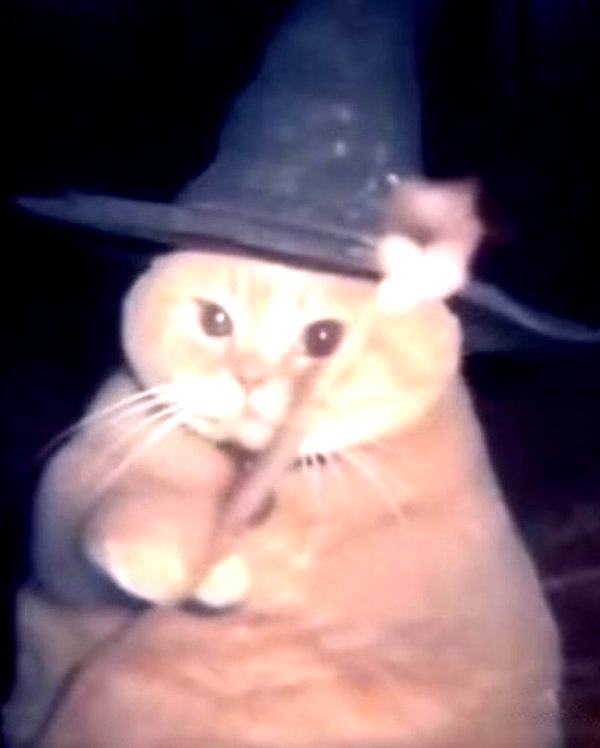 lyracr0w0 instagram image archive image