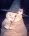 lyracr0w0 Altpins Profile Picture