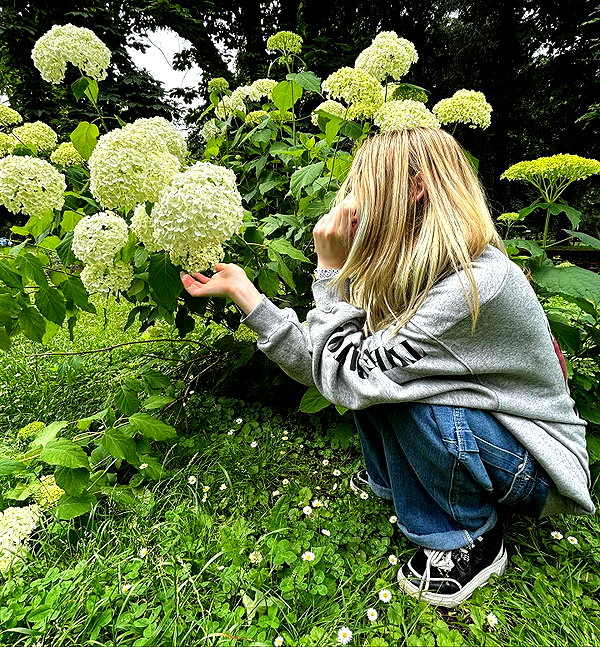 lyridylan lyridylan archive image