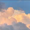 maayani___ Altpins Profile Picture