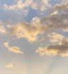 maayani___ Altpins Profile Picture