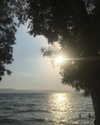 maayani___ Altpins Profile Picture