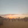 maayani___ Altpins Profile Picture