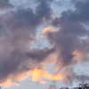 maayani___ Altpins Profile Picture