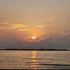 maayani___ Altpins Profile Picture