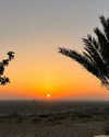 maayani___ Altpins Profile Picture