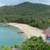 maayani___ Altpins Profile Picture