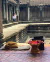 maayani___ Altpins Profile Picture