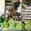 maayani___ Altpins Profile Picture
