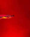 maayani___ Altpins Profile Picture