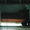 maayani___ Altpins Profile Picture