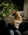 macyxjane_ Altpins Profile Picture