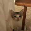 madelineargy Altpins Profile Picture