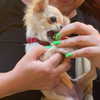 madelineargy Altpins Profile Picture