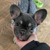 madelineargy Altpins Profile Picture