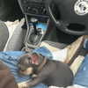 madelineargy Altpins Profile Picture