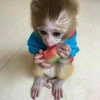 madelineargy Altpins Profile Picture