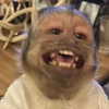 madelineargy Altpins Profile Picture