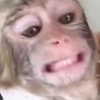 madelineargy Altpins Profile Picture