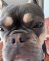 madelineargy Altpins Profile Picture