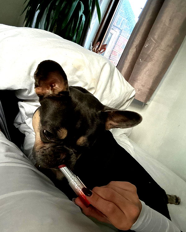 madelineargy instagram image archive image