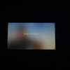 madisonbeer Altpins Profile Picture