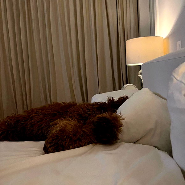 madisonbeer instagram image archive image