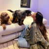 madisonbeer Altpins Profile Picture