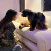 madisonbeer Altpins Profile Picture