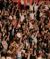 madisonbeer Altpins Profile Picture