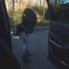 madisonbeer Altpins Profile Picture