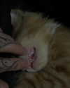 magg0tfleshh Altpins Profile Picture