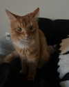 magg0tfleshh Altpins Profile Picture