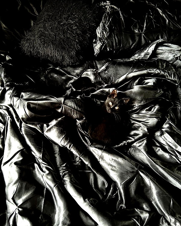 magg0tfleshh instagram image archive image