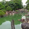 mamyouu_star Altpins Profile Picture