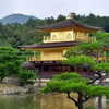 mamyouu_star Altpins Profile Picture