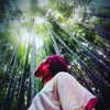 mamyouu_star Altpins Profile Picture