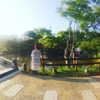 mamyouu_star Altpins Profile Picture