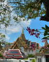 mango.meijian Altpins Profile Picture