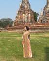 mango.meijian Altpins Profile Picture
